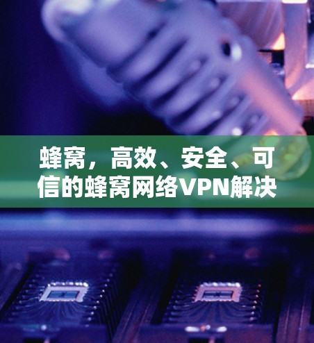 蜂窝，高效、安全、可信的蜂窝网络VPN解决方案