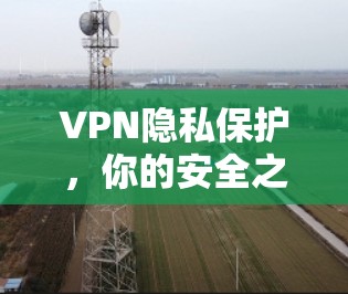 VPN隐私保护，你的安全之选
