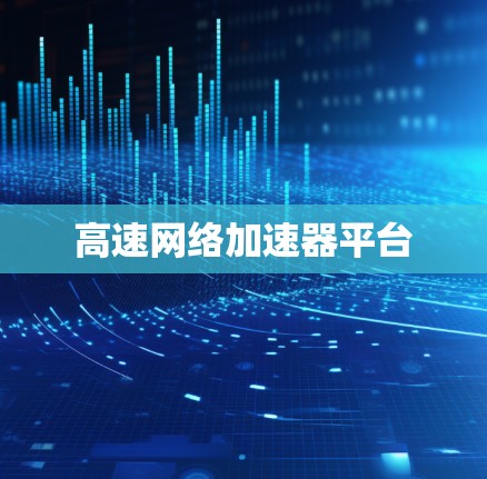 高速网络加速器平台