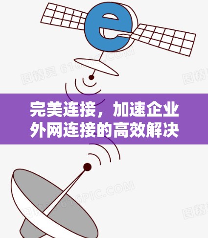 完美连接，加速企业外网连接的高效解决方案