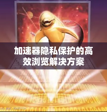 加速器隐私保护的高效浏览解决方案