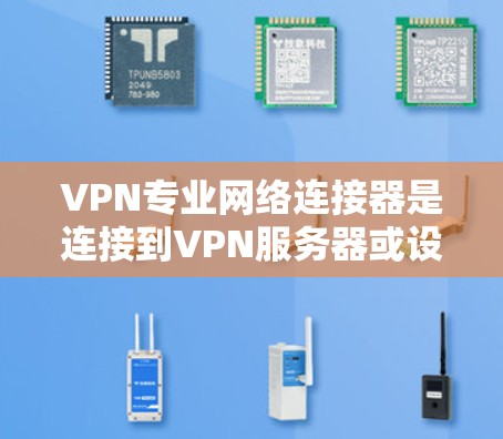 VPN专业网络连接器是连接到VPN服务器或设备的工具，主要包括RDP、VCR和路由器连接器。以下是使用连接器的步骤和指南