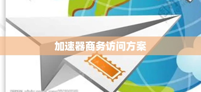 加速器商务访问方案