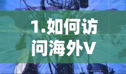 1.如何访问海外VPN平台？