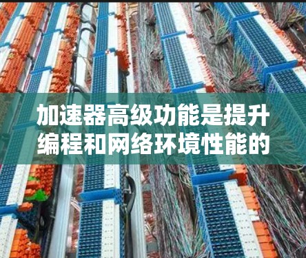 加速器高级功能是提升编程和网络环境性能的重要工具，涵盖了多个方面，从优化任务执行到跨平台应用，提供了丰富的工具和配置选项。以下是高级功能的详细分类和应用建议