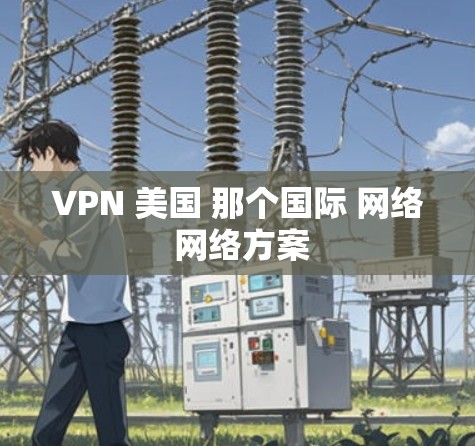 VPN 美国 那个国际 网络 网络方案