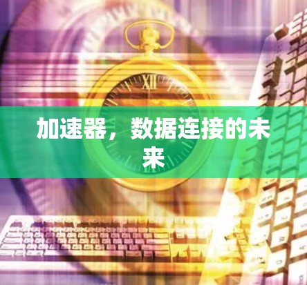 加速器，数据连接的未来