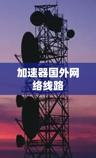 加速器国外网络线路