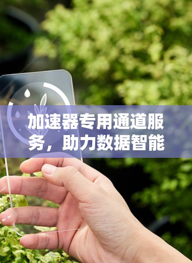 加速器专用通道服务，助力数据智能化提升