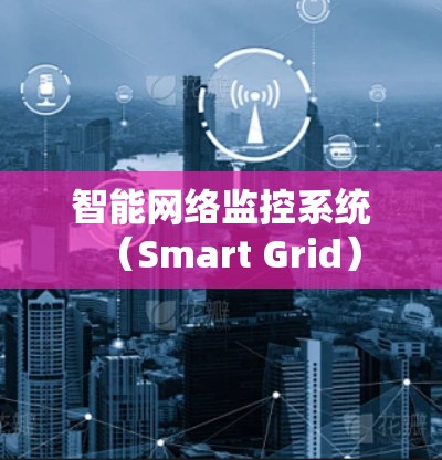 智能网络监控系统（Smart Grid）