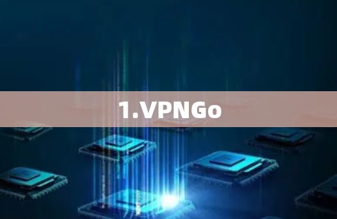 1.VPNGo