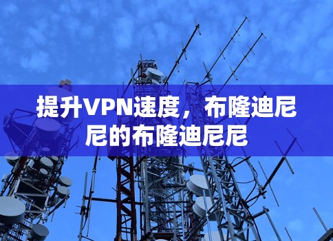 提升VPN速度，布隆迪尼尼的布隆迪尼尼