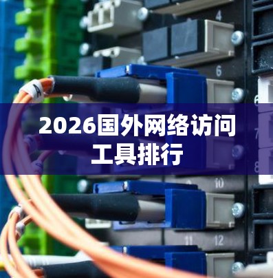 2026国外网络访问工具排行