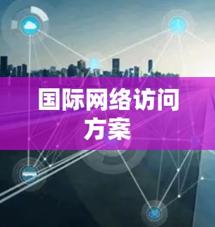 国际网络访问方案