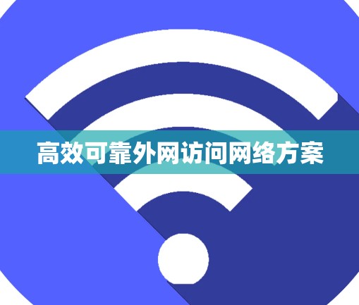 高效可靠外网访问网络方案