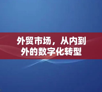 外贸市场，从内到外的数字化转型