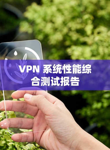 VPN 系统性能综合测试报告