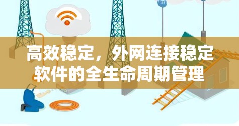 高效稳定，外网连接稳定软件的全生命周期管理