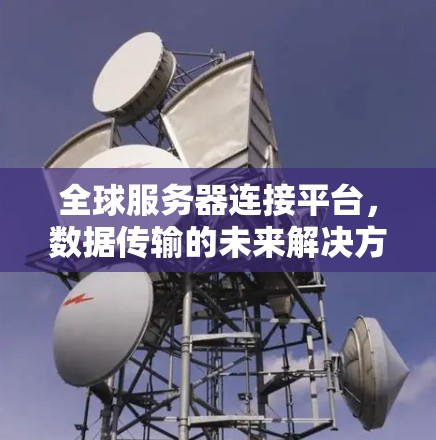 全球服务器连接平台，数据传输的未来解决方案