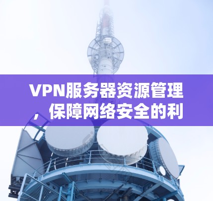 VPN服务器资源管理，保障网络安全的利器