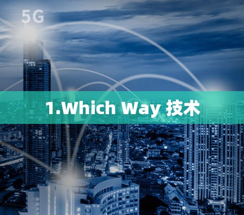 1.Which Way 技术