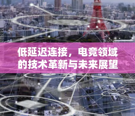 低延迟连接，电竞领域的技术革新与未来展望