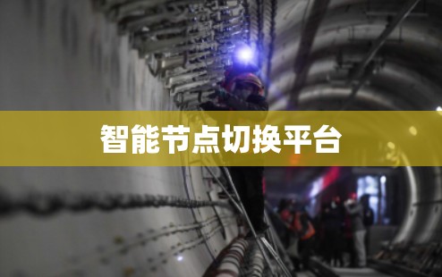 智能节点切换平台