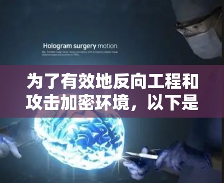 为了有效地反向工程和攻击加密环境，以下是一个有条理的步骤指南