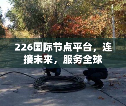 226国际节点平台,连接未来,服务全球 226国际节点平台,连接未来,服务全球