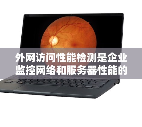 外网访问性能检测是企业监控网络和服务器性能的重要工具，能够实时跟踪网页加载、服务启动等操作。它通过分析访问延迟和响应时间来评估访问性能，为优化服务器配置、减少延迟和提升用户体验提供关键信息