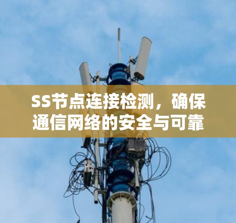 SS节点连接检测，确保通信网络的安全与可靠性