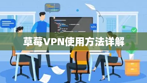 草莓VPN使用方法详解 草莓VPN使用方法详解