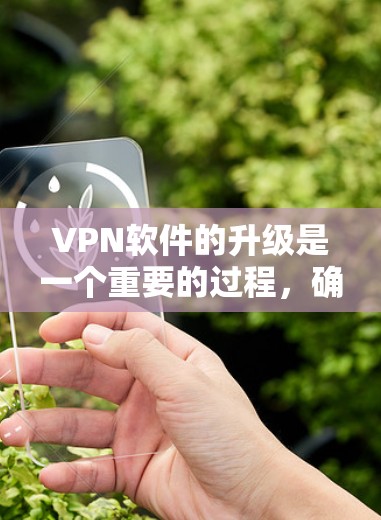 VPN软件的升级是一个重要的过程，确保软件的安全性和稳定性。以下是一些在升级过程中可以遵循的步骤和建议