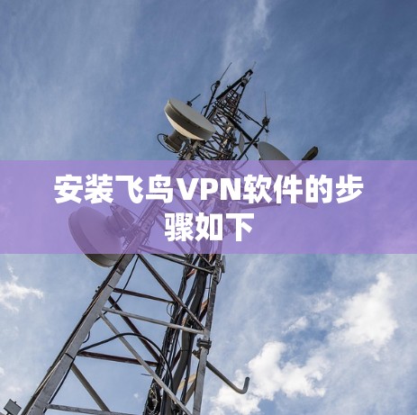 安装飞鸟VPN软件的步骤如下