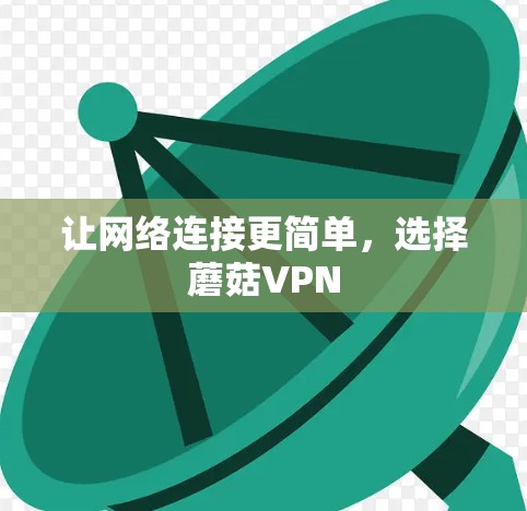 让网络连接更简单，选择蘑菇VPN