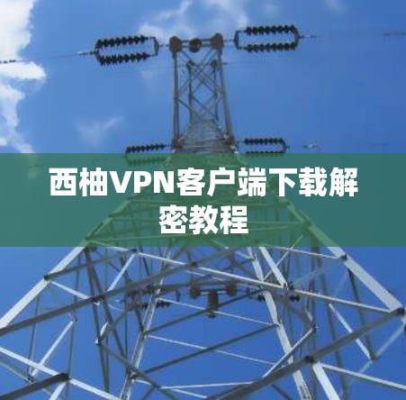 西柚VPN客户端下载解密教程