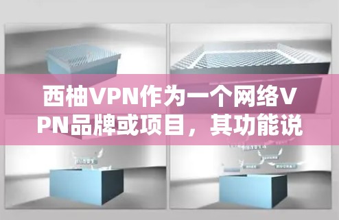 西柚VPN作为一个网络VPN品牌或项目，其功能说明通常包括以下几个方面
