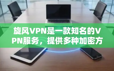 旋风VPN是一款知名的VPN服务，提供多种加密方式、流量控制、语言支持和隐私保护等功能，适合移动用户和商务用户使用。以下是旋风VPN的主要功能评测