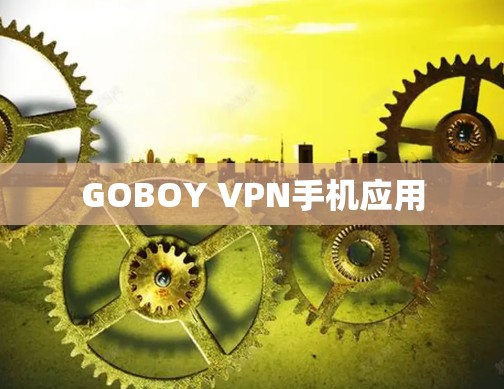 GOBOY VPN手机应用
