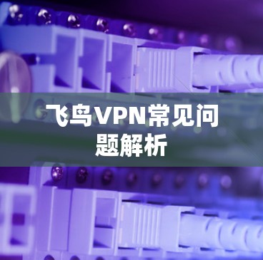 飞鸟VPN常见问题解析