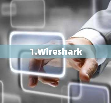 1.Wireshark