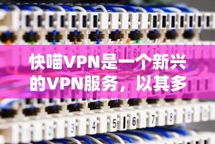 快喵VPN是一个新兴的VPN服务，以其多样化的内容推荐和全面的体验吸引着用户。以下是对快喵VPN体验的系统性分析