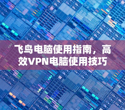 飞鸟电脑使用指南，高效VPN电脑使用技巧