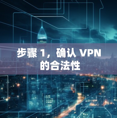 步骤 1，确认 VPN 的合法性