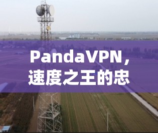 PandaVPN,速度之王的忠实模仿者 PandaVPN,速度之王的忠实模仿者