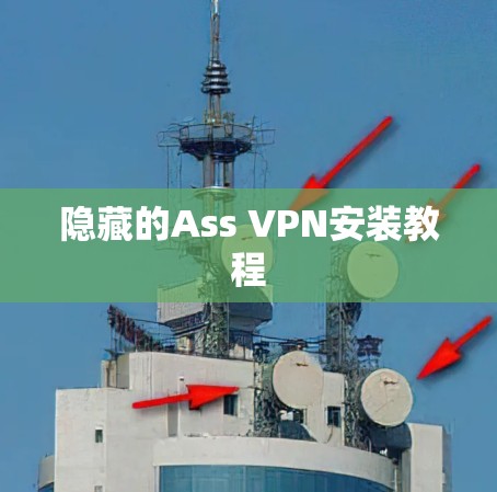 隐藏的Ass VPN安装教程