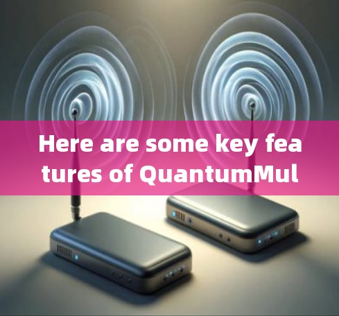 Here are some key features of QuantumMult客户端: