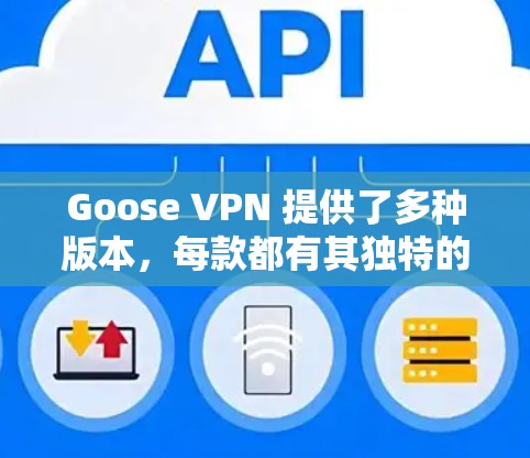 Goose VPN 提供了多种版本，每款都有其独特的性能和功能。以下是关于 Goose VPN 的速度分析