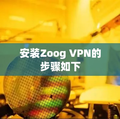安装Zoog VPN的步骤如下