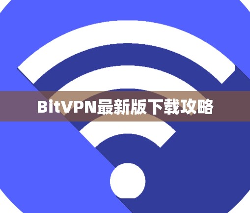 BitVPN最新版下载攻略